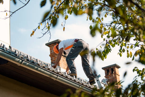 Best Roof Leak Repair  in Deans, NJ